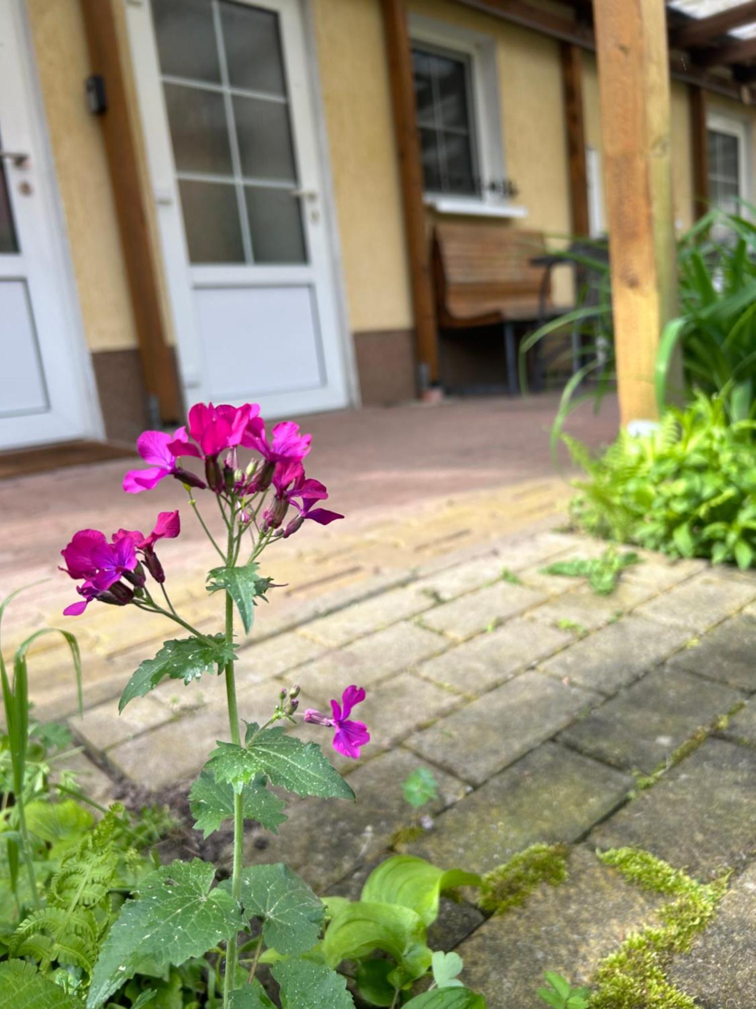 Gemuetliche Wohnung Landlust In See-Naehe Tauche Екстер'єр фото